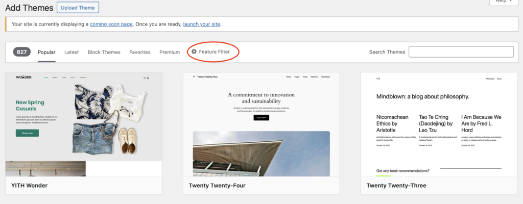 WordPress Theme filter